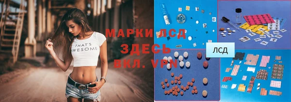 эйфоретик Богданович