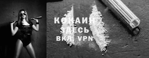 эйфоретик Богданович
