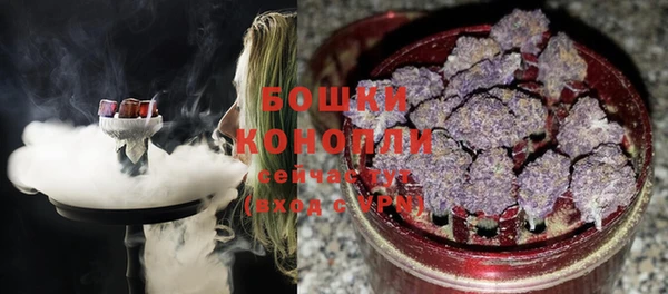 дживик Бронницы