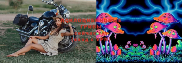 эйфоретик Богданович