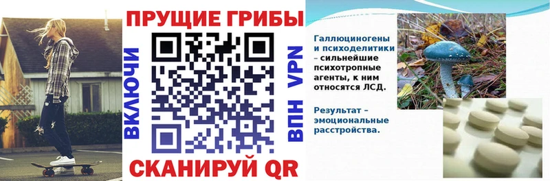 Галлюциногенные грибы ЛСД  где купить наркоту  Кинешма 